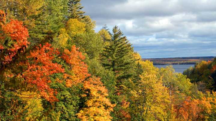 Michigan fall color drives to try in 2025. See the full list