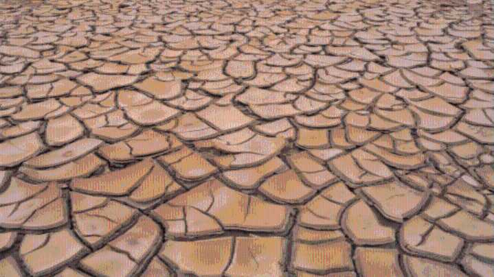 Severe drought developing in Springfield & across portions of the Ozarks