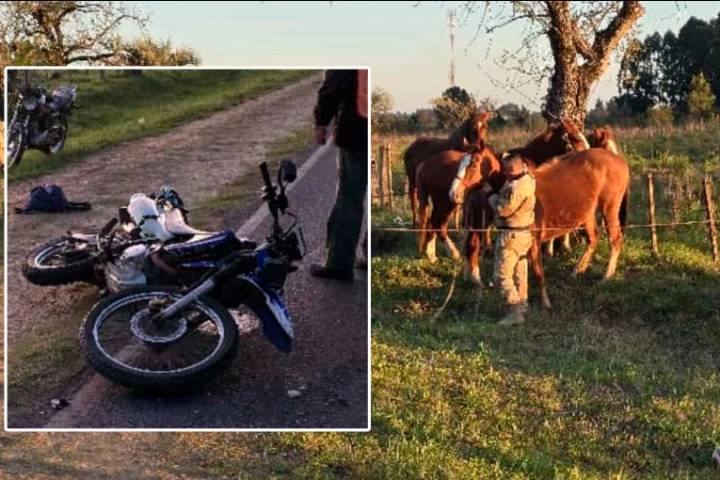 Motociclistas quisieron esquivar una camioneta y chocaron unos caballos