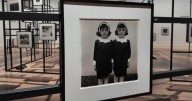 Neil Selkirk on the legacy of photographer Diane Arbus