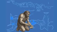 La boca como tercera mano: el misterio de las caries neandertales de Sidrón