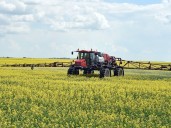 ’Mercy of politics’: Canadian farmers weigh plans as Chinese tariffs hits canola