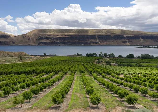 Washington state farmers are surrounded by challenges to their way of life and the state's economy