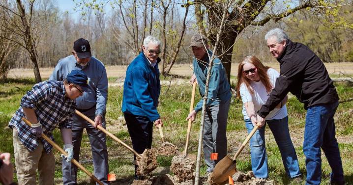 How to get a tree to plant 