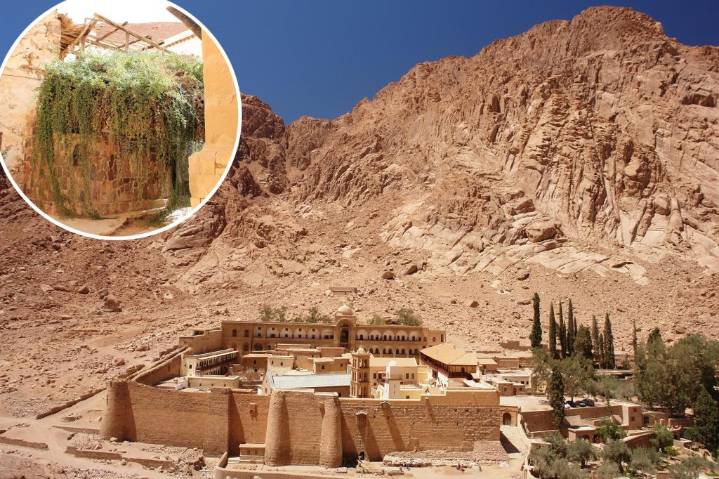 Plans for mega-luxe resort at Mount Sinai spark fury as bulldozers invade