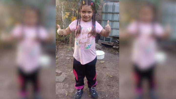 Un padre denunció que su expareja se llevó a su hija de 5 años a Neuquén sin permiso
