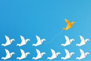 Disruptive Change Agents: Lessons in Innovation