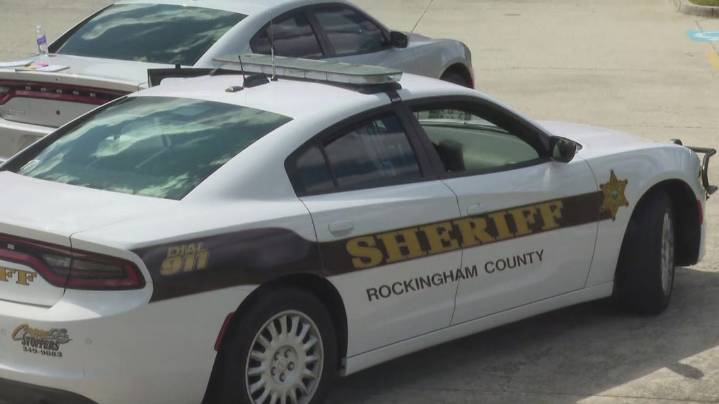 Armed carjacking suspect in custody after search in Reidsville, deputies say