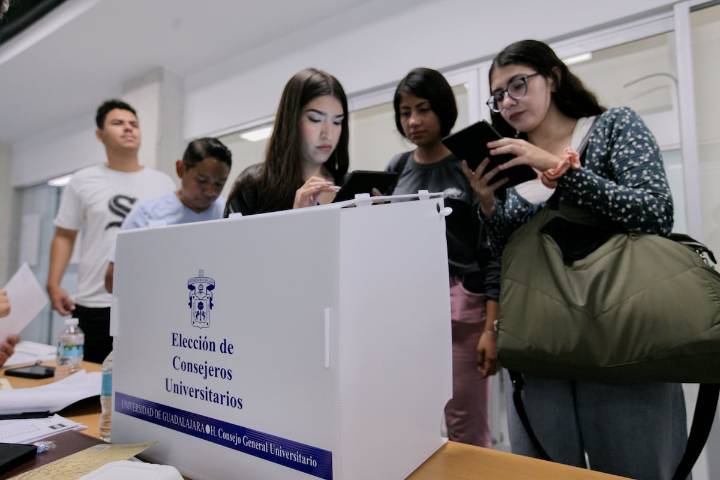 Reporta UdeG jornada electoral del CGU transcurre en calma y alta participación estudiantil