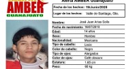 ONU pide a México acciones inmediatas por desaparición de adolescente en Guanajuato