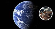 La NASA descubre posible evidencia de vida microbiana en Marte
