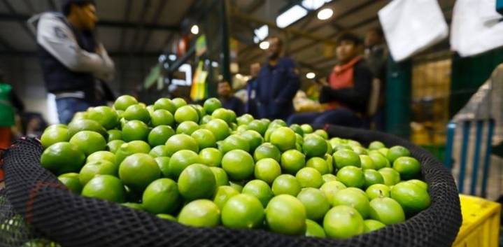 Piura: Precio del limón se estabilizaría en el mes de octubre, según el economista David Herrera