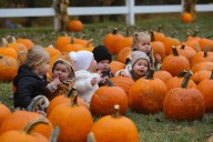 Warm up to fall with these family