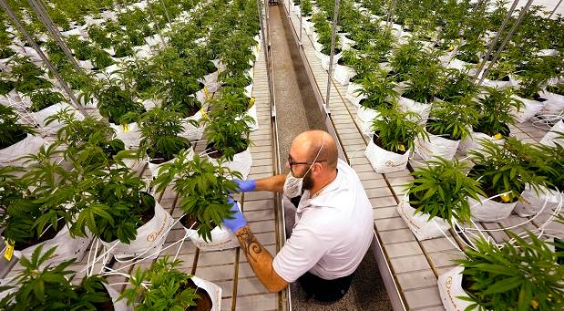 4th Circuit upholds key part of MD’s cannabis regulation system