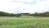 Railroad Park celebrates 15 years of connecting Birmingham