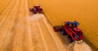 Idaho, Taiwan flour millers sign $1.2 billion wheat deal