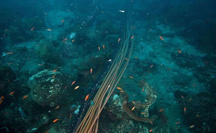 Asia y Oriente Medio sufren interrupciones de internet por corte de cables