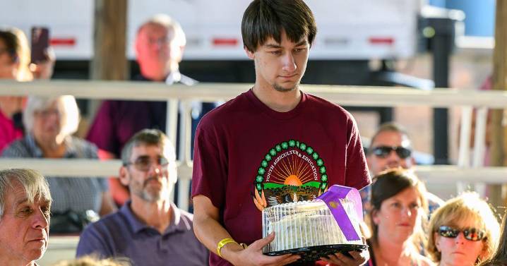 Cake sells for $6,000 at The Great Frederick Fair youth baked goods auction