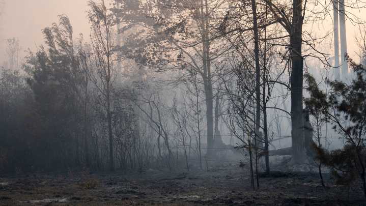 Burn ban lifted for Bay County; fire weather could still be a factor