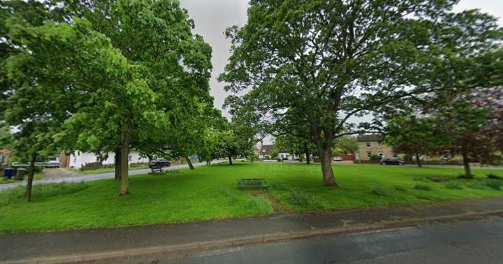 Two people seriously injured after car crashes into tree