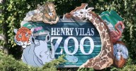 Run Wild at Henry Vilas Zoo raises funds for global conservation efforts