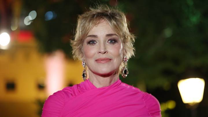 Sharon Stone, 67, shocks fans in plunging blazer in racy new photos