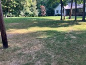 Garden Talk: Did summer stress your lawn? Tips for reviving it this fall