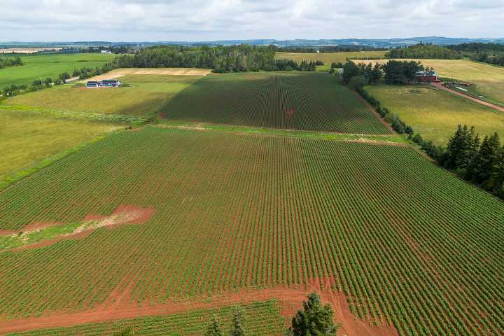 Canada’s agriculture financing Crown corp. says $12-billion in exports could be directed away from U.S.