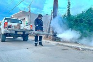 Fumigación contra el dengue inicia el 19 de septiembre en Los Cabos