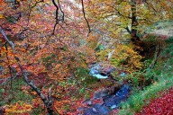 Los 7 lugares que hacen de Cantabria el destino otoñal perfecto