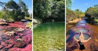 Más allá de Caño Cristales: los otros ríos de colores que esconde Colombia fácil de visitar