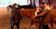 Runnin' WJ Ranch seek volunteers for fall classes