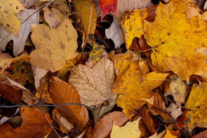 Man ‘humbled’ by community’s compassion after spending 24 hours lost in U.P. woods