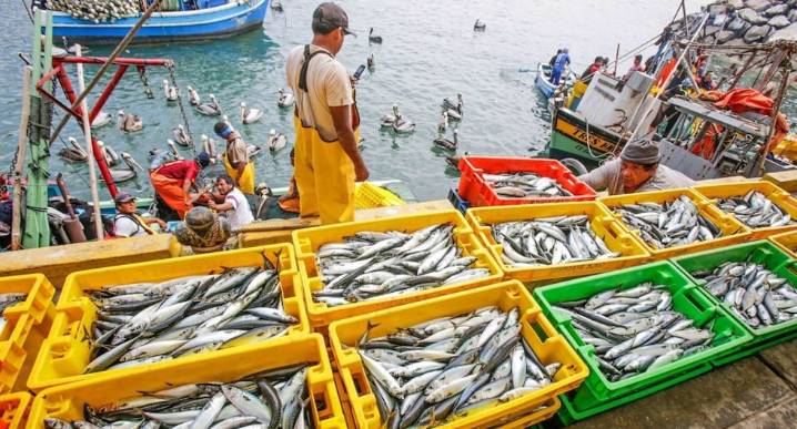 Economía peruana creció 3,41% en julio: agro y pesca lideraron el impulso, empleo formal siguió al alza