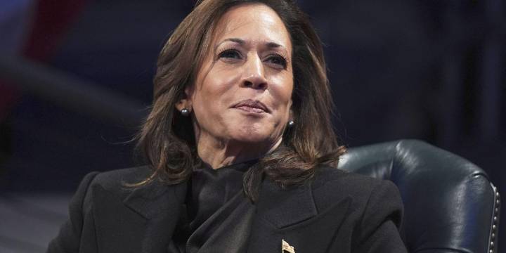 Kamala Harris rips 'recklessness' of Democrats