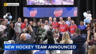 Trenton, New Jersey, announced new ECHL hockey team
