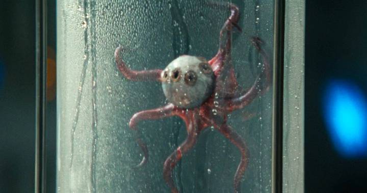‘Alien: Earth’s Eyeball Monster Has Already Won