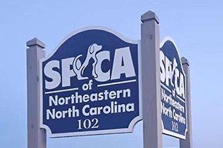 The Outer Banks Voice -   Currituck County agrees to accept stray dogs after Pasquotank County shelter shuttered by the state