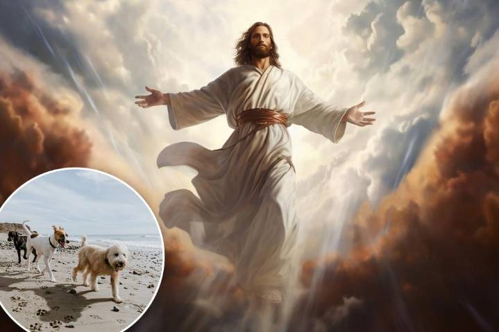 Rapture might be coming, many hope their dogs are included