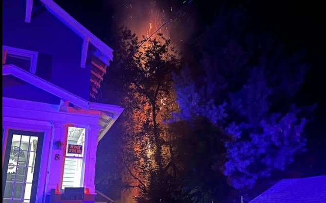 PHOTOS: Tree catches fire in Vernon