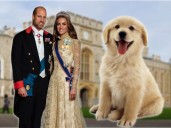La polémica decisión del príncipe William y Kate Middleton que prohíbe pasear perros a sus vecinos