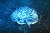 Píldora experimental repara el cerebro y recupera funciones motoras y cognitivas