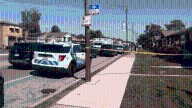 2-year-old dies accidental Chatham shooting: Chicago police – NBC Chicago