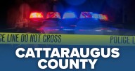 Two teens from Buffalo accused of stealing items from vehicles in Great Valley and Ellicottville