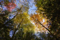 Cuyahoga Valley National Park murder case highlights trauma when rapes go unsolved