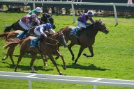 Real Gain and Thunder ready to rumble on Rowley Mile