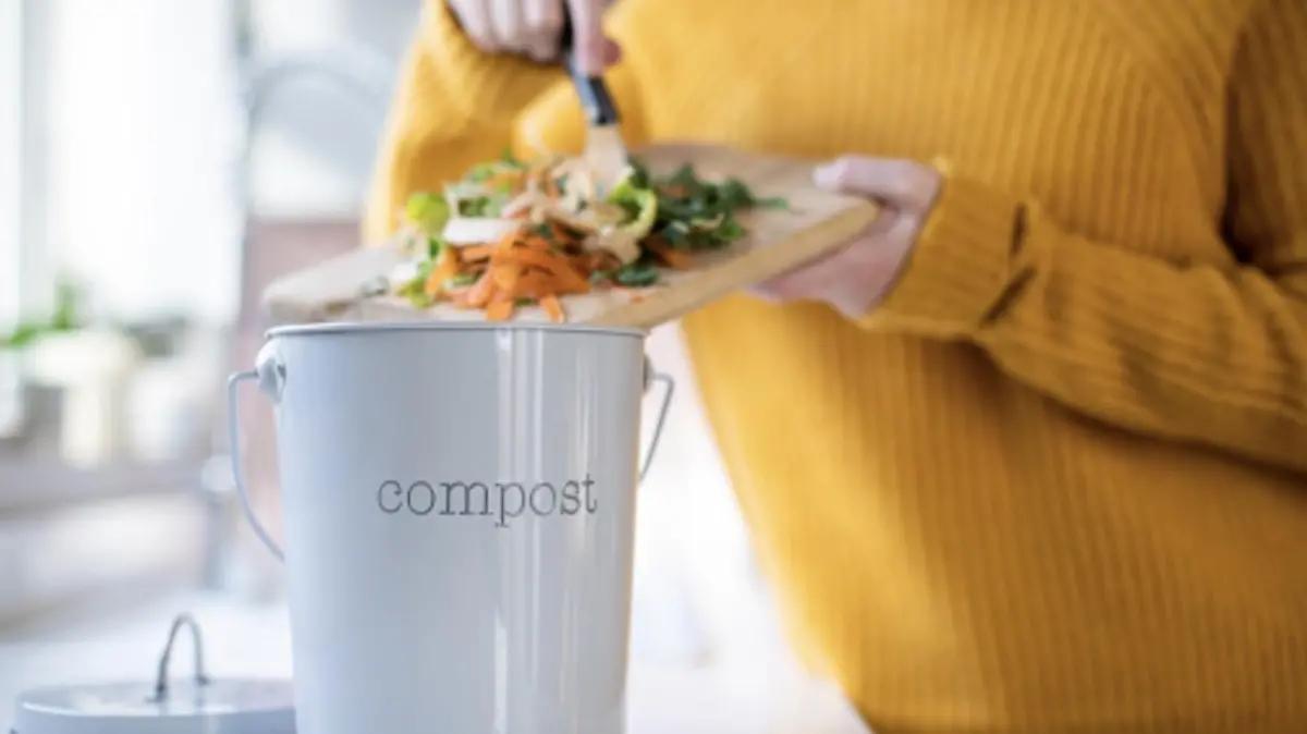 ¡Sin desperdiciar! Más de seis ideas para cocinar con desechos de alimentos
