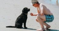 Qué significa hablarle a los perros como si fueran humanos
