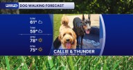 Barking good weather: Dog walking forecast for Friday