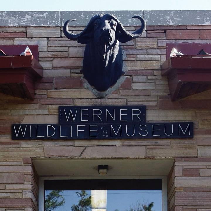 Enjoy ‘Birds, Burgers, and Blues’ at the Werner Wildlife Museum